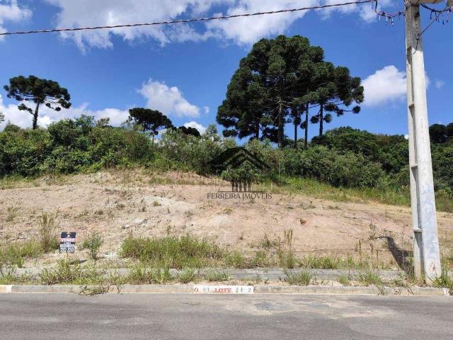 Terreno venda em Região Geográfica Imediata de Curitiba, Região Metropolitana de Curitiba