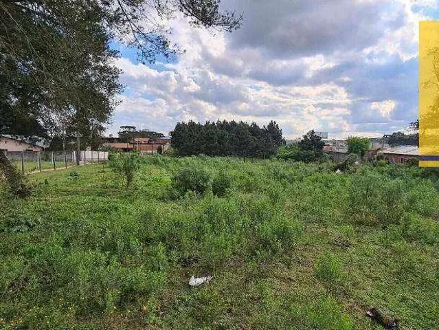 Terreno venda em Região Geográfica Imediata de Curitiba, Região Metropolitana de Curitiba