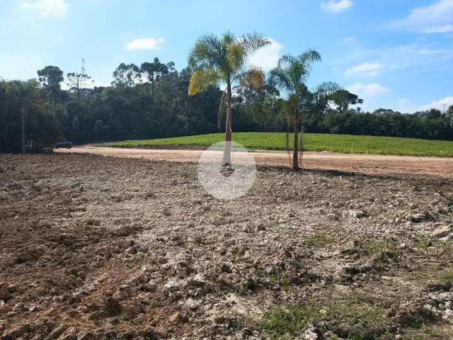 Terreno venda em Região Geográfica Imediata de Curitiba, Região Metropolitana de Curitiba