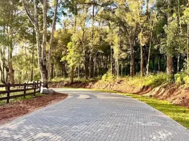 Terreno venda em Região Geográfica Imediata de Curitiba, Região Metropolitana de Curitiba