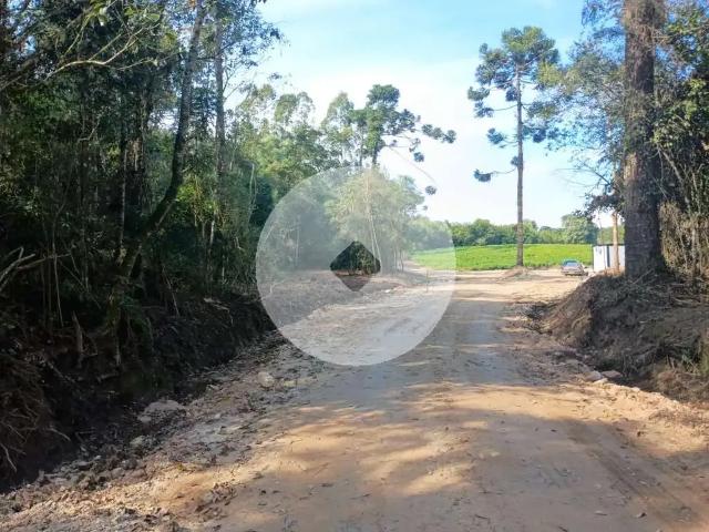 Terreno venda em Região Geográfica Imediata de Curitiba, Região Metropolitana de Curitiba