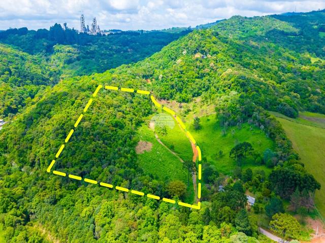 Terreno venda em Campo Largo, Região Geográfica Intermediária de Curitiba