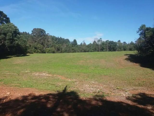 Terreno venda em Região Geográfica Imediata de Curitiba, Região Metropolitana de Curitiba