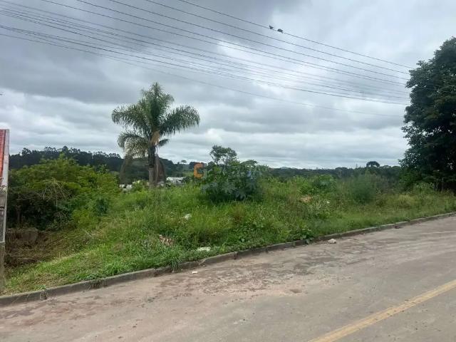 Terreno venda em Região Geográfica Imediata de Curitiba, Região Metropolitana de Curitiba