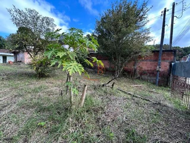 Terreno venda em Região Geográfica Imediata de Curitiba, Região Metropolitana de Curitiba