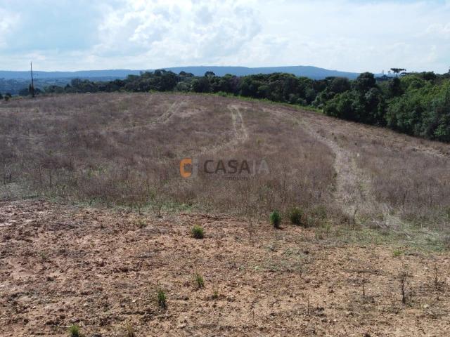 Terreno venda em Bom Jesus, Campo Largo