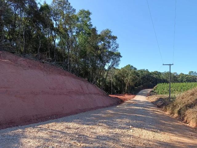 Sítio e chácara venda em Região Geográfica Imediata de Curitiba, Região Metropolitana de Curitiba