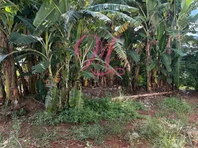 Terreno venda em Campo Limpo Paulista, Região Geográfica Intermediária de Campinas
