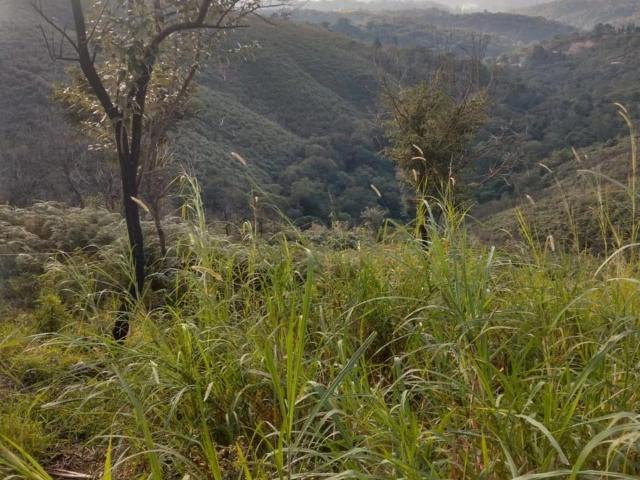 Terreno venda em Campo Limpo Paulista