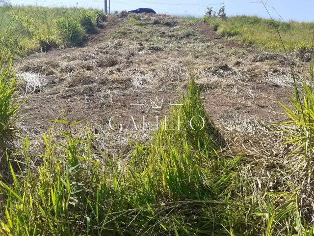 Terreno venda em Campo Limpo Paulista
