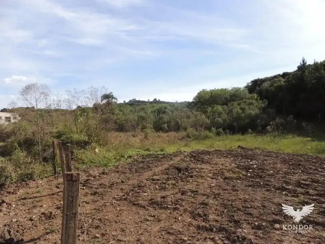 Terreno venda em Campo de São Benedito, Campo Magro