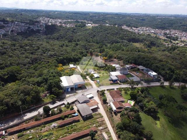 Terreno venda em Campo Novo, Campo Magro