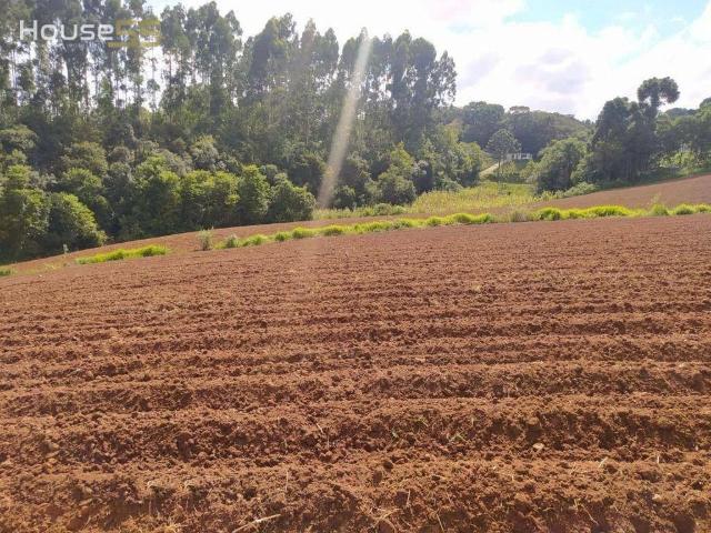 Terreno venda em Campo de Santo Antônio, Campo Magro