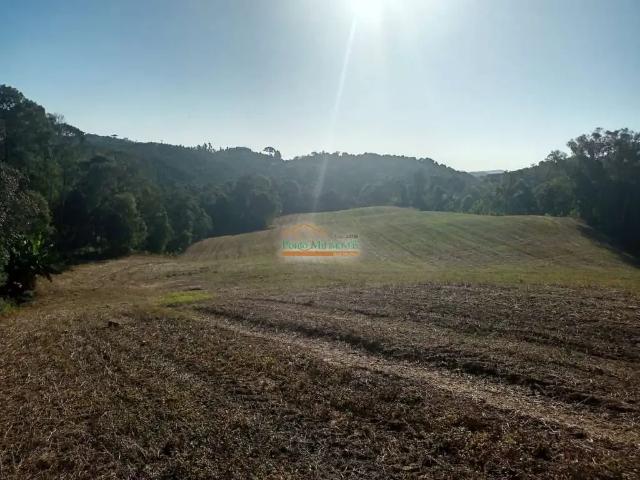 Terreno venda em Jardim Veneza, Campo Magro