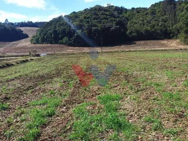 Terreno venda em Campo Magro, Região Geográfica Intermediária de Curitiba