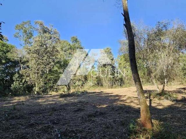 Terreno venda em Campo de Santo Antônio, Campo Magro