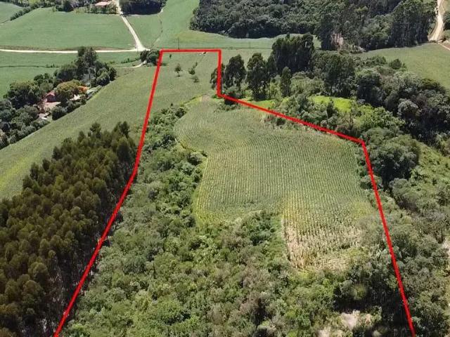 Terreno venda em Campo de Santo Antônio, Campo Magro