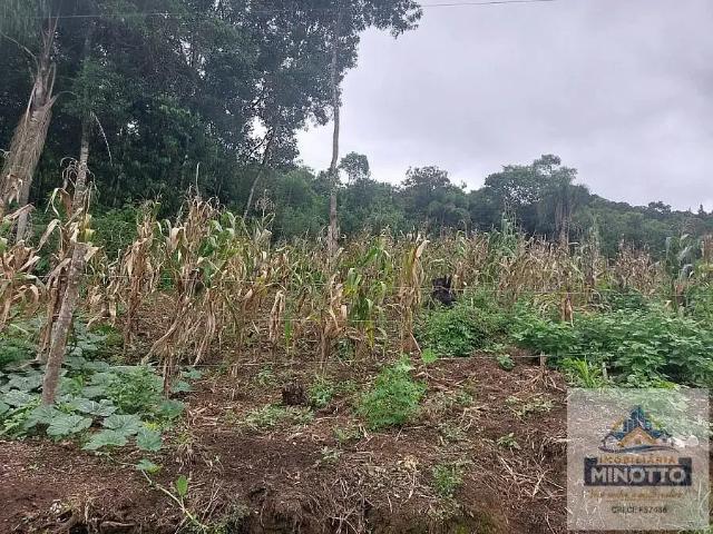 Terreno venda em Região Geográfica Imediata de Curitiba, Região Metropolitana de Curitiba