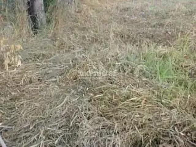 Terreno venda em Região Geográfica Imediata de Campo Mourão, Campo Mourão