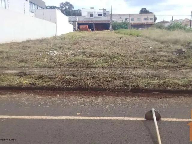 Terreno venda em Região Geográfica Imediata de Campo Mourão, Campo Mourão
