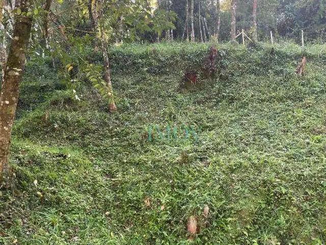 Terreno venda em Região Imediata de Taubaté-Pindamonhangaba, Região Metropolitana do Vale do Paraíba e Litoral Norte