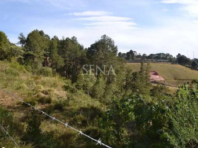 Terreno venda em Campos do Jordão