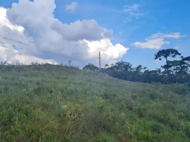 Terreno venda em Campos do Jordão
