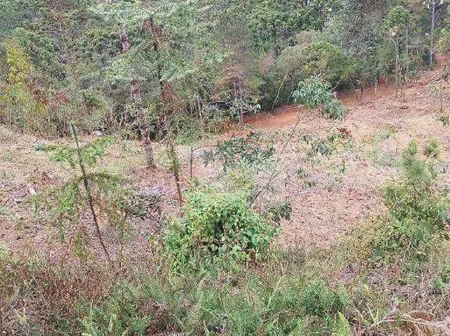 Terreno venda em Região Imediata de Taubaté-Pindamonhangaba, Região Metropolitana do Vale do Paraíba e Litoral Norte