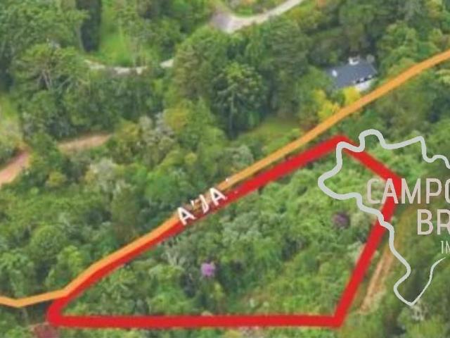 Terreno venda em Vila Paulista, Campos do Jordão