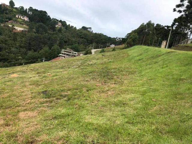 Terreno venda em Região Imediata de Taubaté-Pindamonhangaba, Região Metropolitana do Vale do Paraíba e Litoral Norte