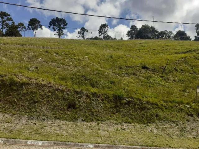 Terreno venda em Região Imediata de Taubaté-Pindamonhangaba, Região Metropolitana do Vale do Paraíba e Litoral Norte
