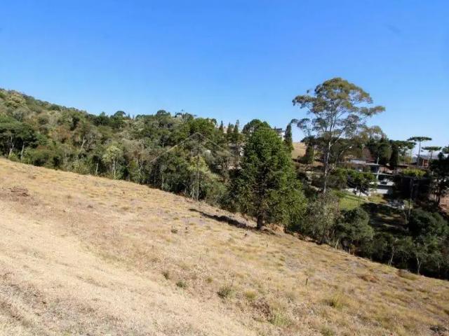 Terreno venda em Região Imediata de Taubaté-Pindamonhangaba, Região Metropolitana do Vale do Paraíba e Litoral Norte