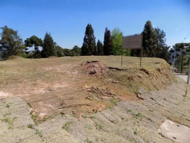 Terreno venda em Região Imediata de Taubaté-Pindamonhangaba, Região Metropolitana do Vale do Paraíba e Litoral Norte