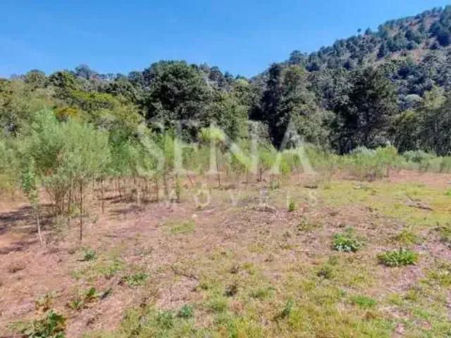 Terreno venda em Região Imediata de Taubaté-Pindamonhangaba, Região Metropolitana do Vale do Paraíba e Litoral Norte