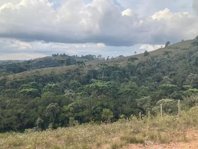 Terreno venda em Região Imediata de Taubaté-Pindamonhangaba, Região Metropolitana do Vale do Paraíba e Litoral Norte