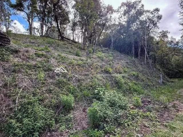 Terreno venda em Região Imediata de Taubaté-Pindamonhangaba, Região Metropolitana do Vale do Paraíba e Litoral Norte