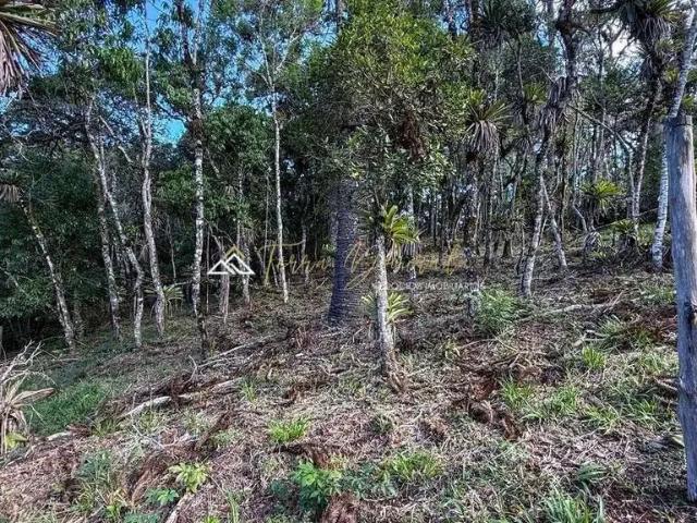 Terreno venda em Região Imediata de Taubaté-Pindamonhangaba, Região Metropolitana do Vale do Paraíba e Litoral Norte