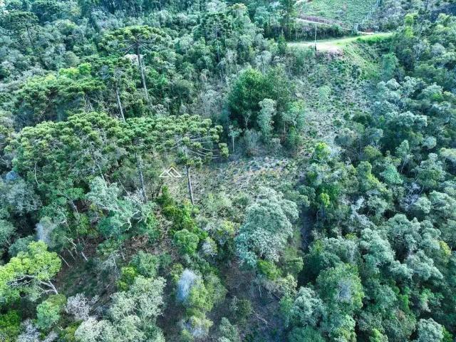 Terreno venda em Região Imediata de Taubaté-Pindamonhangaba, Região Metropolitana do Vale do Paraíba e Litoral Norte