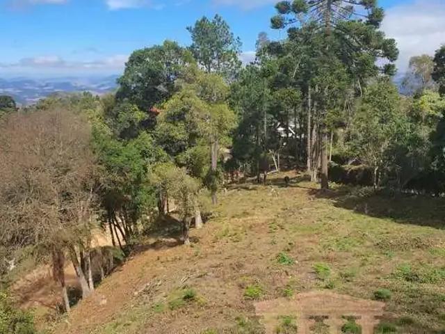 Terreno venda em Região Imediata de Taubaté-Pindamonhangaba, Região Metropolitana do Vale do Paraíba e Litoral Norte