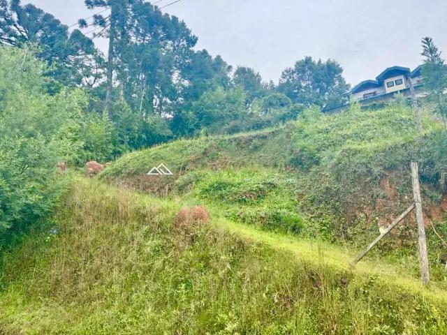 Terreno venda em Região Imediata de Taubaté-Pindamonhangaba, Região Metropolitana do Vale do Paraíba e Litoral Norte
