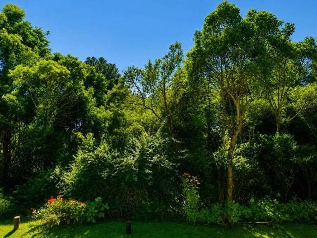 Terreno venda em Região Imediata de Taubaté-Pindamonhangaba, Região Metropolitana do Vale do Paraíba e Litoral Norte