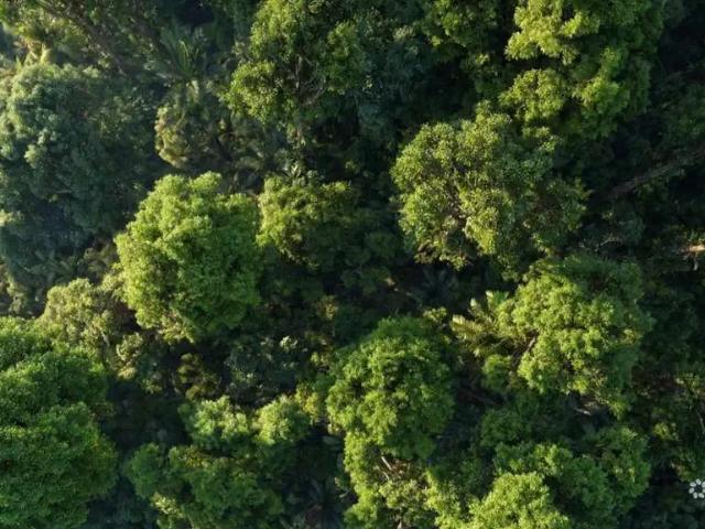 Terreno venda em Região Imediata de Taubaté-Pindamonhangaba, Região Metropolitana do Vale do Paraíba e Litoral Norte