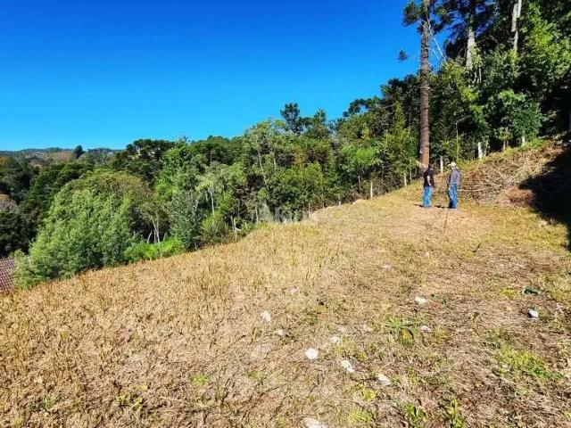 Terreno venda em Região Imediata de Taubaté-Pindamonhangaba, Região Metropolitana do Vale do Paraíba e Litoral Norte