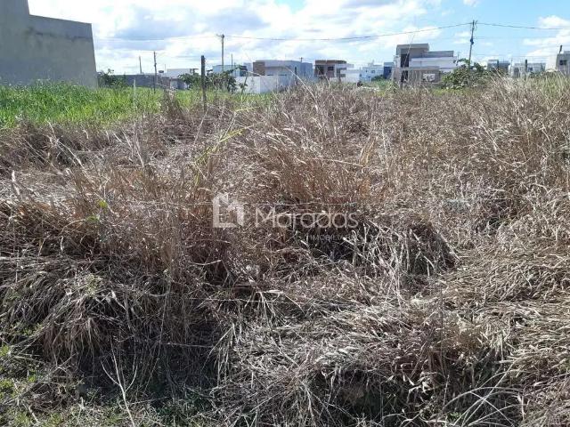 Terreno venda em Região Geográfica Imediata de Campos dos Goytacazes, Campos dos Goytacazes