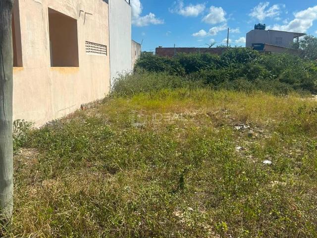 Terreno venda em Região Geográfica Imediata de Campos dos Goytacazes, Campos dos Goytacazes