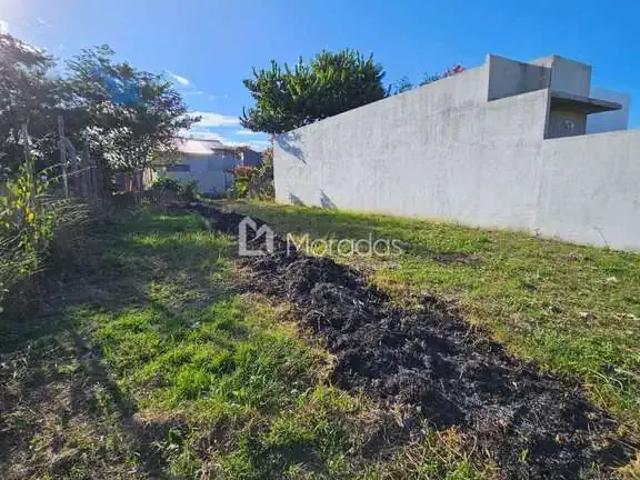 Terreno venda em Região Geográfica Imediata de Campos dos Goytacazes, Campos dos Goytacazes
