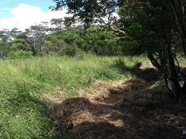 Terreno venda em Região Geográfica Imediata de Campos dos Goytacazes, Campos dos Goytacazes
