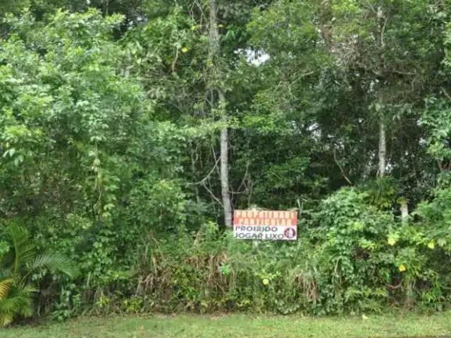 Terreno venda em Cananéia