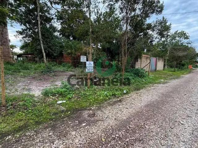 Terreno venda em Cananéia