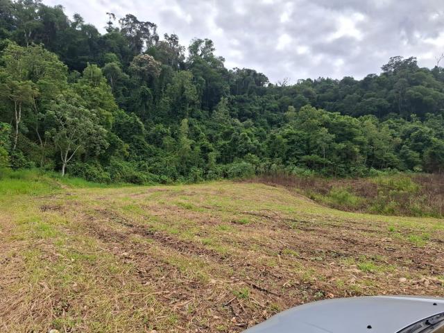 Terreno venda em Candói, Região Geográfica Intermediária de Guarapuava